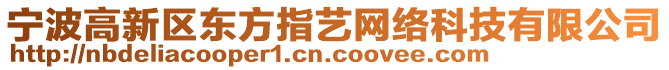 寧波高新區(qū)東方指藝網(wǎng)絡(luò)科技有限公司