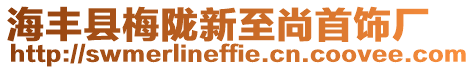 海豐縣梅隴新至尚首飾廠