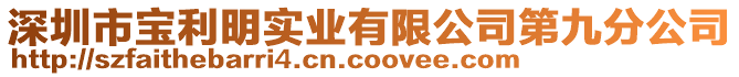 深圳市寶利明實業(yè)有限公司第九分公司