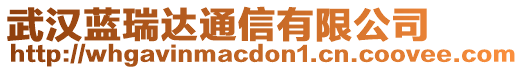 武漢藍(lán)瑞達(dá)通信有限公司