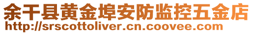 余干縣黃金埠安防監(jiān)控五金店