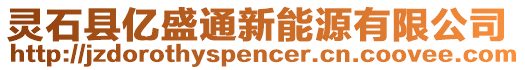 靈石縣億盛通新能源有限公司