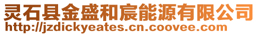 靈石縣金盛和宸能源有限公司