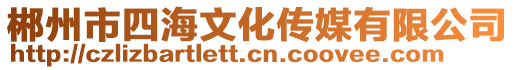 郴州市四海文化傳媒有限公司