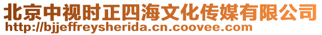 北京中視時正四海文化傳媒有限公司