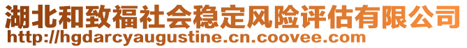 湖北和致福社會穩(wěn)定風(fēng)險(xiǎn)評估有限公司