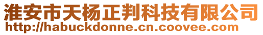 淮安市天楊正判科技有限公司