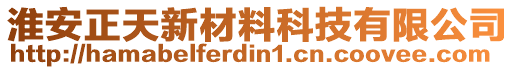 淮安正天新材料科技有限公司