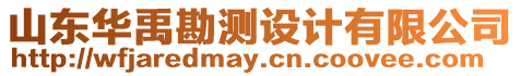 山東華禹勘測(cè)設(shè)計(jì)有限公司