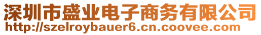 深圳市盛業(yè)電子商務(wù)有限公司