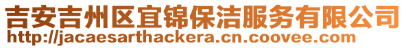 吉安吉州區(qū)宜錦保潔服務(wù)有限公司