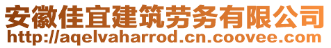 安徽佳宜建筑勞務有限公司