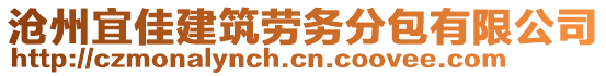 滄州宜佳建筑勞務分包有限公司