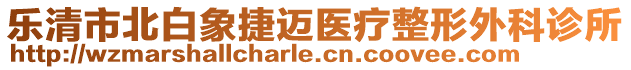 樂清市北白象捷邁醫(yī)療整形外科診所