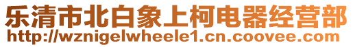 樂清市北白象上柯電器經營部