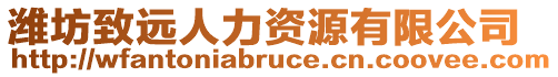 濰坊致遠(yuǎn)人力資源有限公司