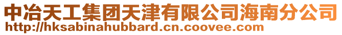 中冶天工集團天津有限公司海南分公司