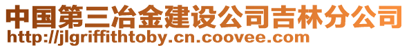 中國(guó)第三冶金建設(shè)公司吉林分公司