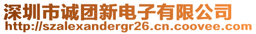 深圳市誠團新電子有限公司