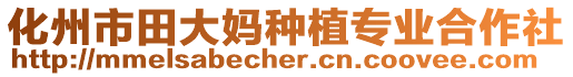 化州市田大媽種植專業(yè)合作社