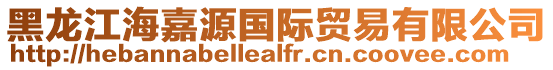 黑龍江海嘉源國際貿易有限公司