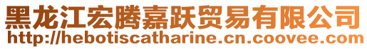 黑龍江宏騰嘉躍貿易有限公司