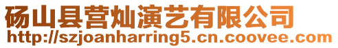 碭山縣營燦演藝有限公司