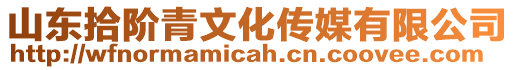 山東拾階青文化傳媒有限公司