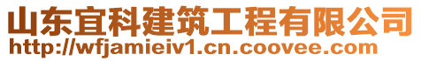 山東宜科建筑工程有限公司