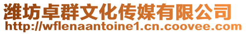 濰坊卓群文化傳媒有限公司