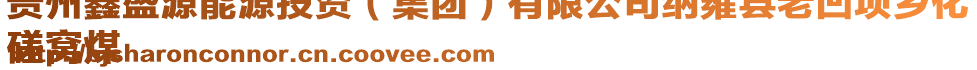 貴州鑫盛源能源投資（集團(tuán)）有限公司納雍縣老凹?jí)梧l(xiāng)化
磋窩煤