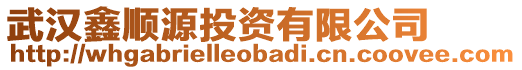 武漢鑫順源投資有限公司