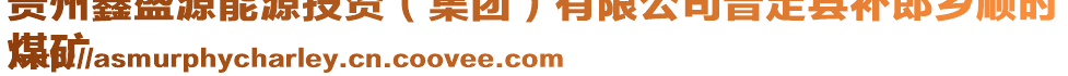 貴州鑫盛源能源投資(集團(tuán))有限公司普定縣補郎鄉(xiāng)順時
煤礦