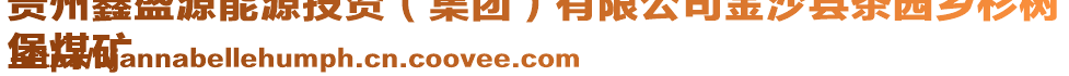 貴州鑫盛源能源投資(集團)有限公司金沙縣茶園鄉杉樹
堡煤礦