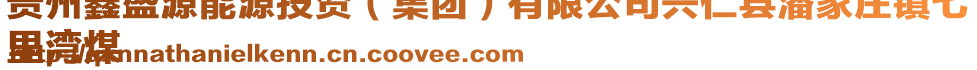 貴州鑫盛源能源投資（集團(tuán)）有限公司興仁縣潘家莊鎮(zhèn)七
里灣煤