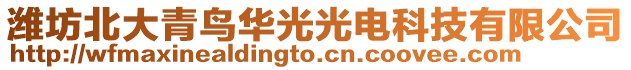 濰坊北大青鳥華光光電科技有限公司
