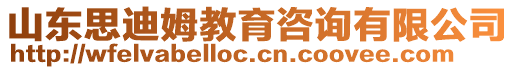 山东思迪姆教育咨询有限公司