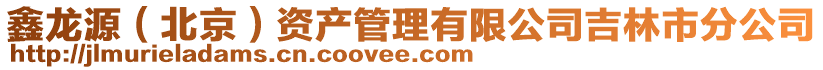 鑫龍源（北京）資產(chǎn)管理有限公司吉林市分公司