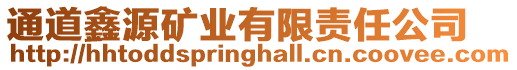 通道鑫源礦業(yè)有限責(zé)任公司