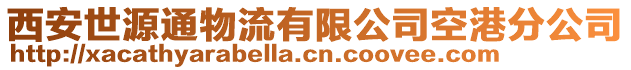 西安世源通物流有限公司空港分公司