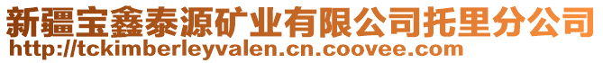 新疆寶鑫泰源礦業(yè)有限公司托里分公司