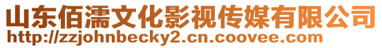 山東佰濡文化影視傳媒有限公司