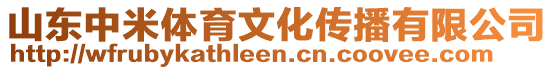 山東中米體育文化傳播有限公司