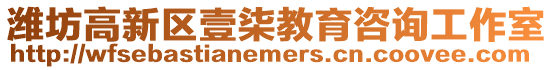 濰坊高新區壹柒教育咨詢工作室