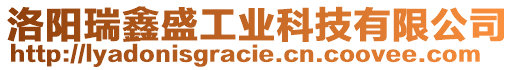 洛陽瑞鑫盛工業(yè)科技有限公司
