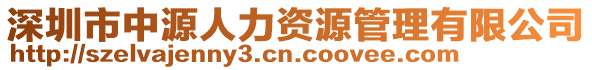 深圳市中源人力資源管理有限公司