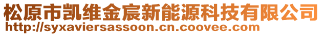 松原市凱維金宸新能源科技有限公司