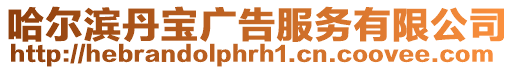 哈爾濱丹寶廣告服務有限公司