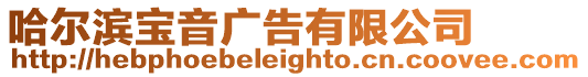 哈爾濱寶音廣告有限公司