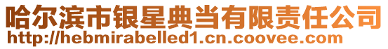 哈爾濱市銀星典當(dāng)有限責(zé)任公司